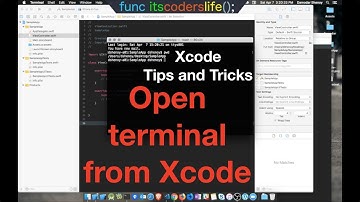 Xcode tricks - Open terminal into project Directory