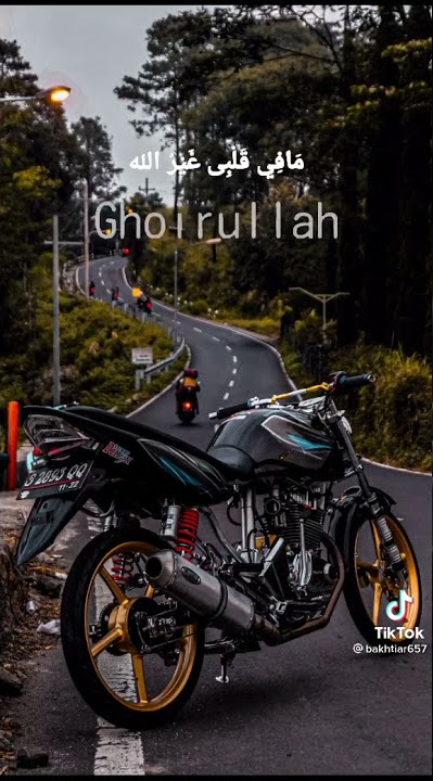 Stori Wa Tiger Herex Sholawat Terbaru