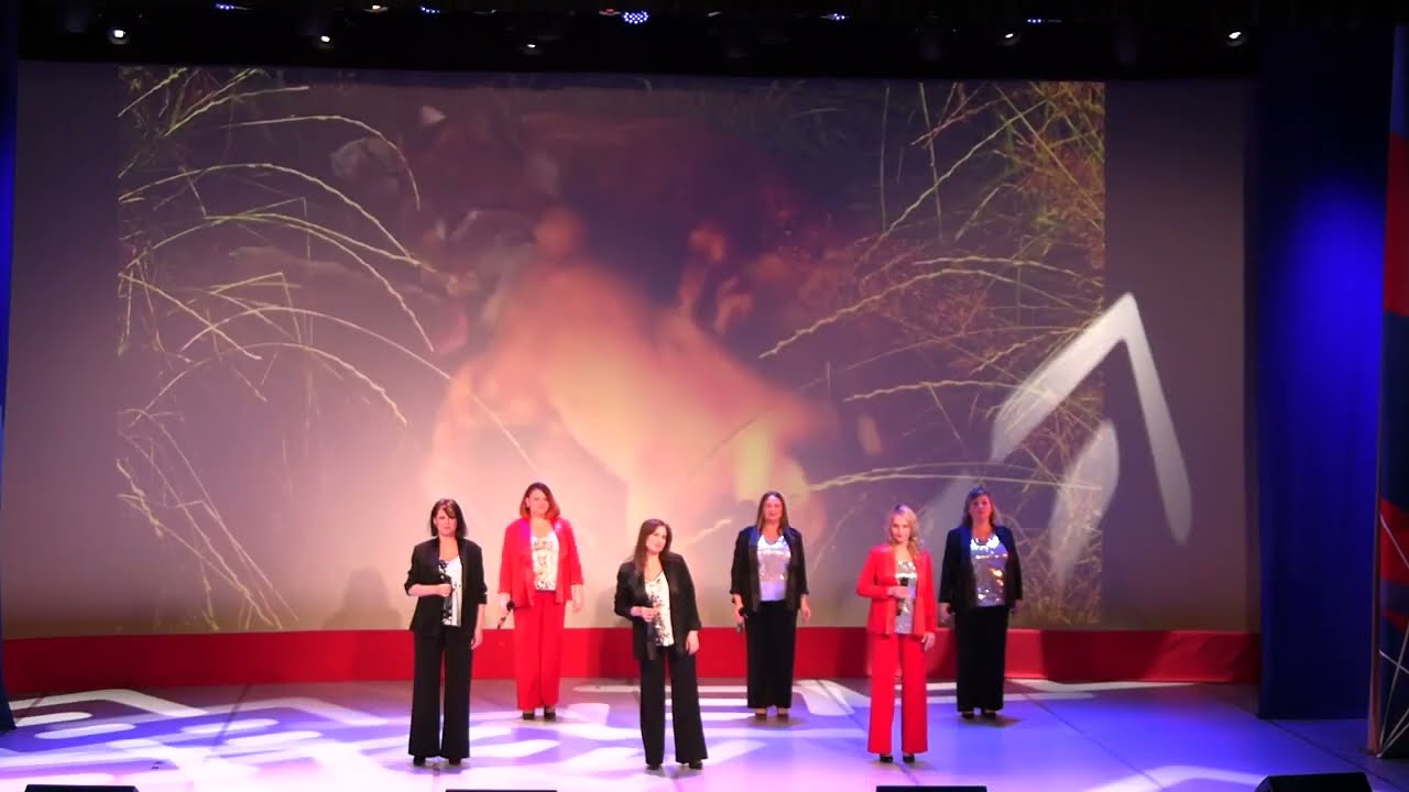 Праздничный концерт посвященный 23 февраля.