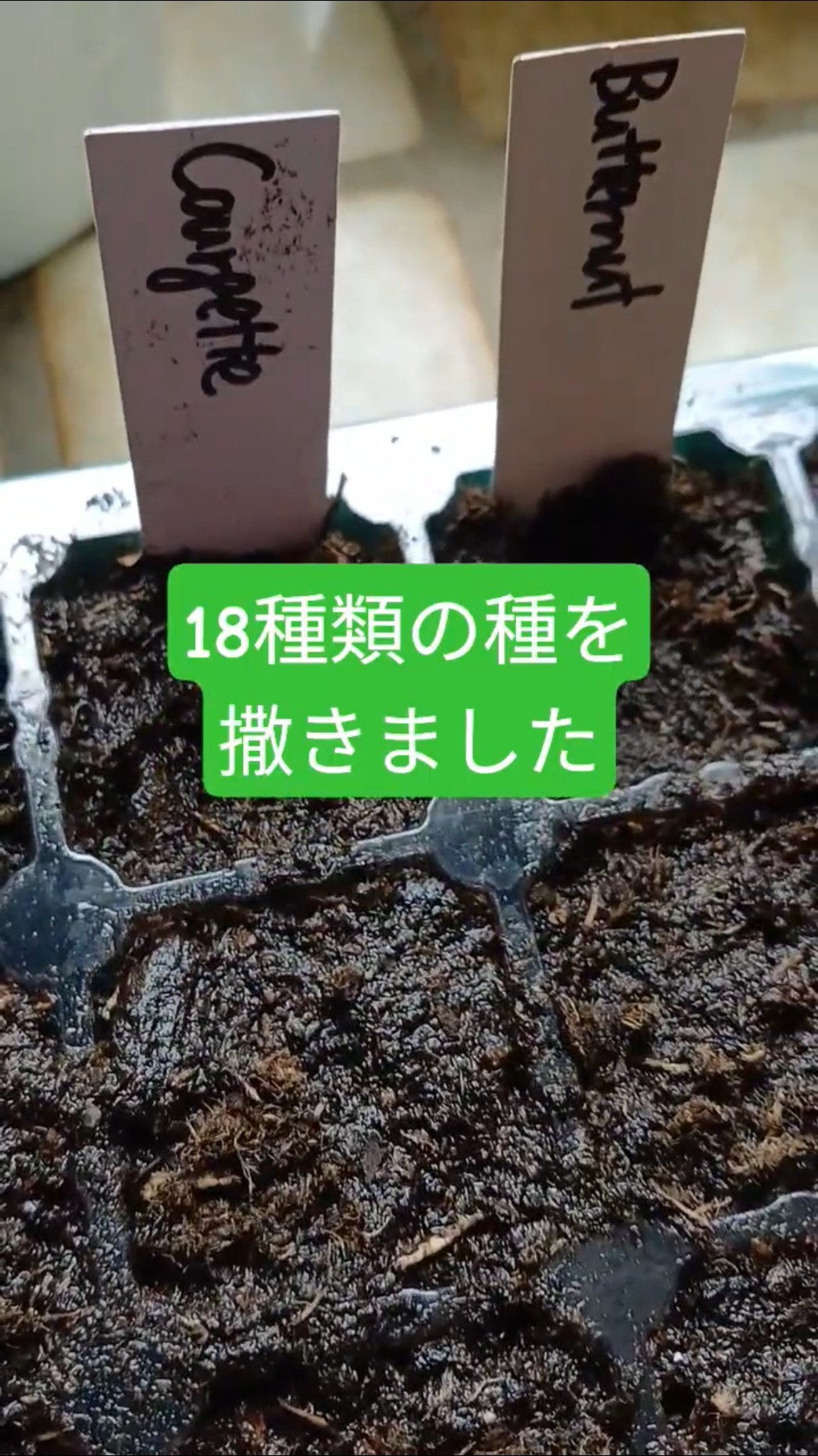 たね様３点おまとめ12/1まで取り置き マツダが「トルクコンバーター採用を視野に入れた縦置き用8速AT