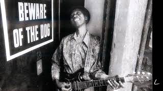 Hound Dog Taylor & The Houserockers- Let's Get Funky