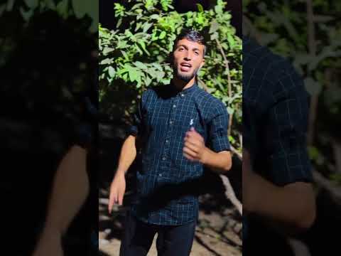 نحن الأباة وانتم غزاة