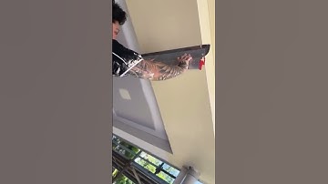 LEVEL5 Skimming Blades in Action 🔥🤑