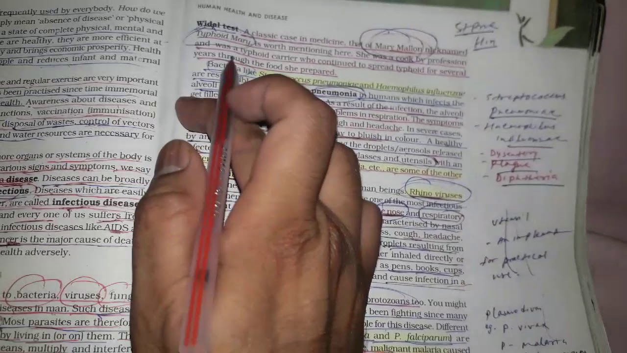 Human Health And Disease Class 12 Bacterial And Viral Disease YouTube