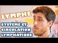 Comprendre le systme lymphatique et la lymphe