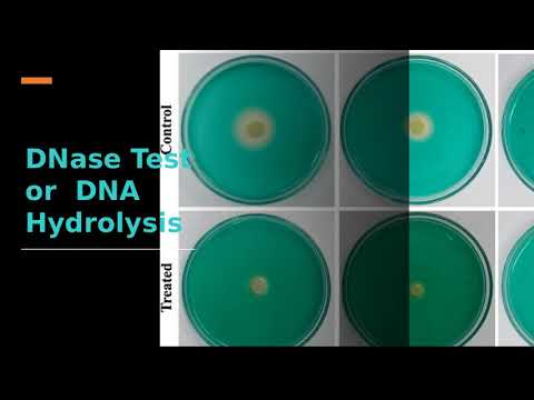 2420 Biology Lab