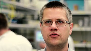 What we design and develop in VECTOR HFC technology