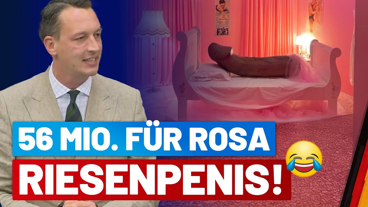 Irre: Für diese Abstrusitäten werden deutschen Steuergelder verschwendet! - Matthias Helferich - AfD