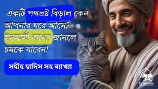 একটি পথভ্রষ্ট বিড়াল কেন আপনার ঘরে আসে? | ইসলাম কি বলে | Islamic Waz | #banglawaz #waz #newwaz #cat screenshot 5