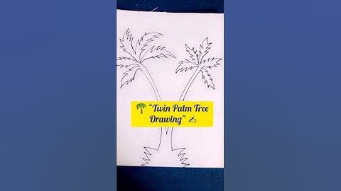 "Beautiful twin palm tree drawing 🌴✨ | Easy step by step sketch"