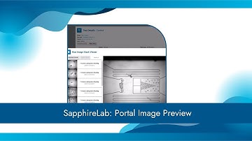 Interface Fluidics Portal Image Preview