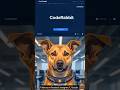 CodeRabbit makes code review faster #shorts #dogesh #productivitytools