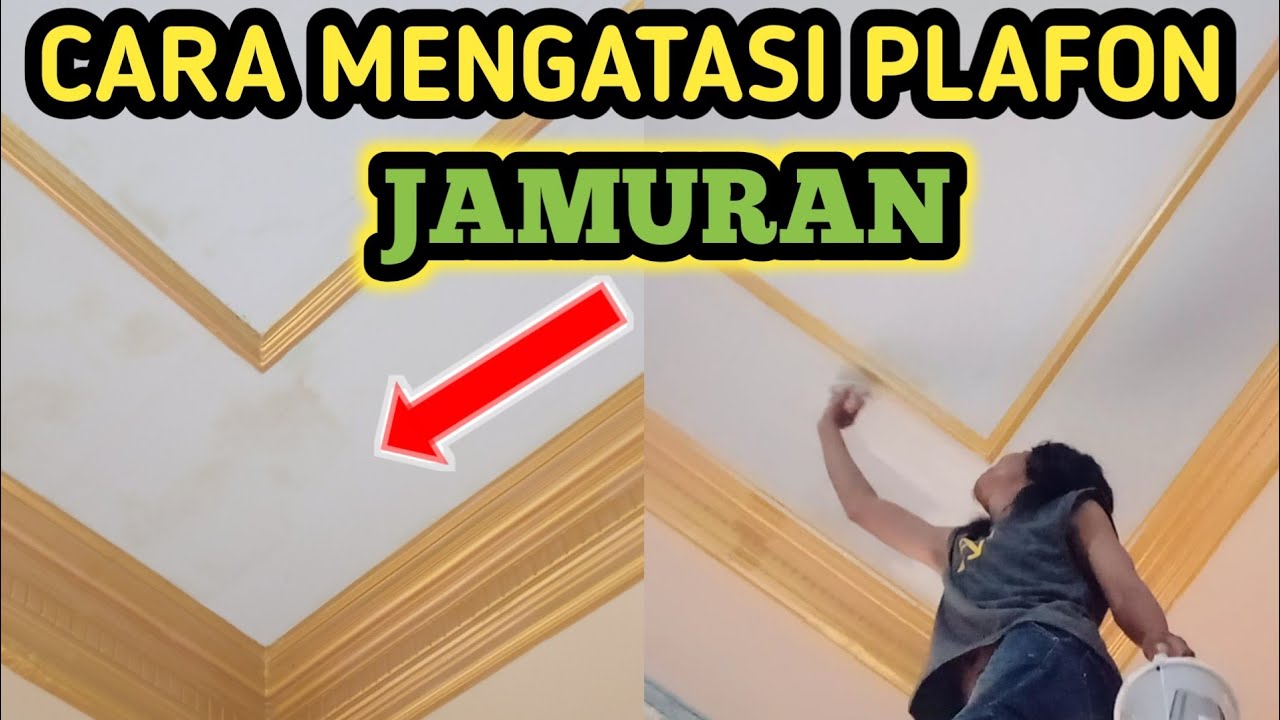 CARA MUDAH MEMPERBAIKI PLAFON YANG BERJAMUR