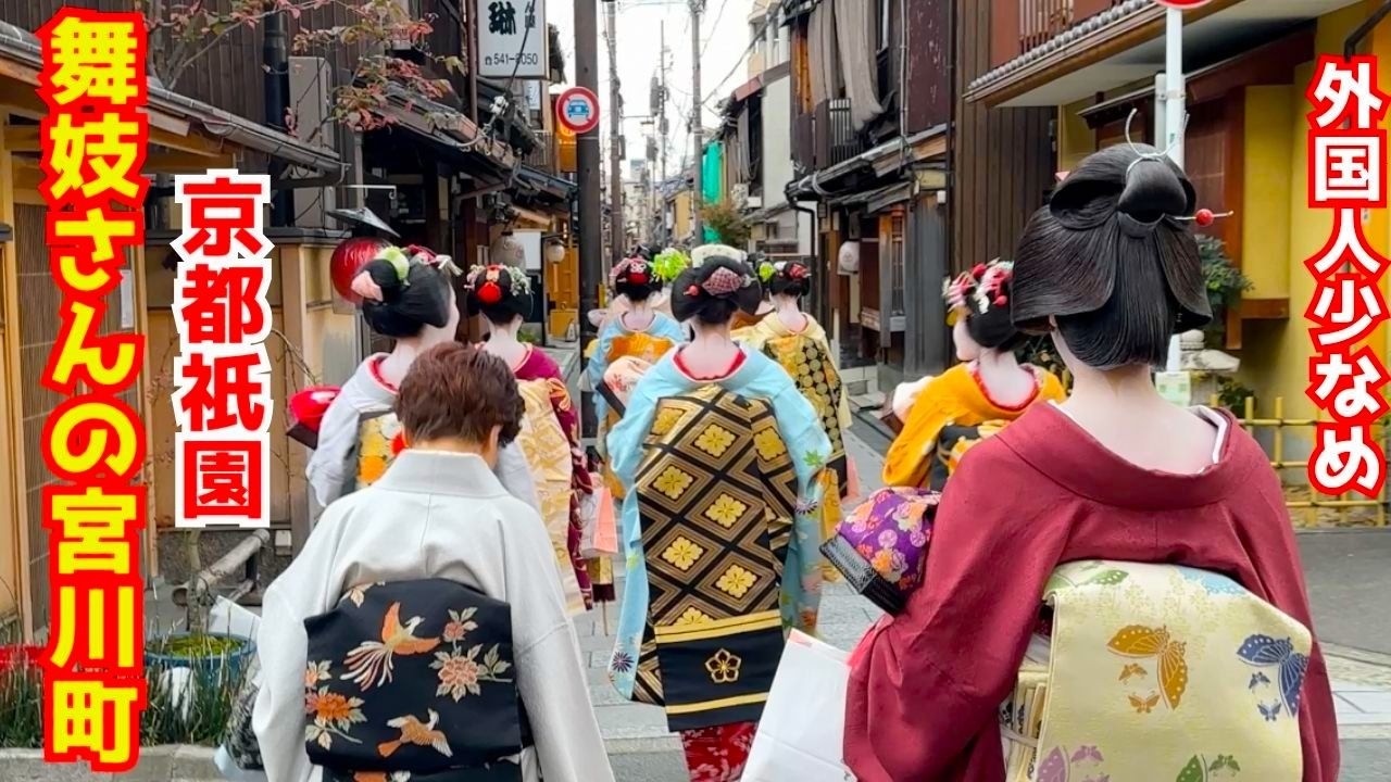 外国人観光客少なめでオーバーツーリズムとは無縁の祇園宮川町を芸妓さん舞妓さんが行く！京都旅行