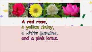 COLORS SONG (Flowers Song) Short Kids Song