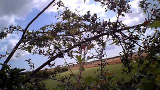 Learning to Fly on my HK Bixler
