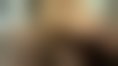 A&P 2 Lab Cat Dissection Spring 2011 - Diagram 4