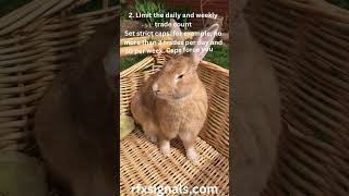 Summarize News Automatically with AI – RFXSignals.com Smart Publishing Tools