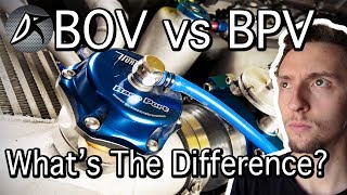Bov Vs Bpv Whats The Real Difference?