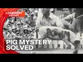 One of cricket's biggest mysteries FINALLY solved | A Current Affair
