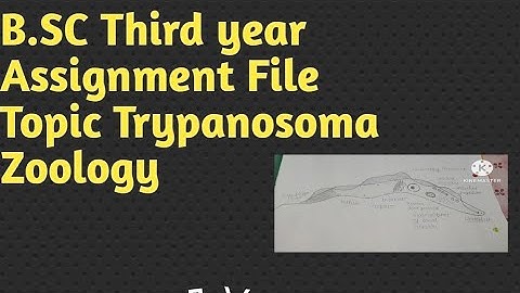 B.SC Third year ||Assignment file Topic Trypanosoma|| Zoology