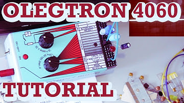 OLEGTRON 4060 intro / demo / tutorial (w/ MicroBrute) #TTNM