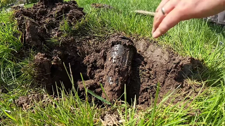 Rain Bird Maxi Paw to Rain Bird Rotor 5000 Series