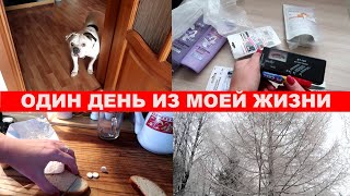 Один день из моей жизни✦Покупки ОЗОН и ВАЛБЕРИС✦Как впихнуть ТАБЛЕТКУ