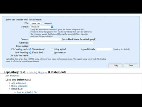 AllegroGraph - Triple Attributes
