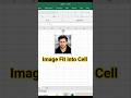 🖼️Image Fit into Cell in MS Excel 👍🤩 #excel #msoffice #tricks #tips #viral #ytshorts #shorts #short