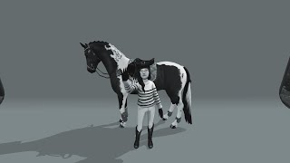 Így tölsd le a star stable-t PCre!