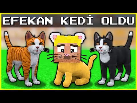 EFEKAN KEDİYE DÖNÜŞTÜ Minecraft