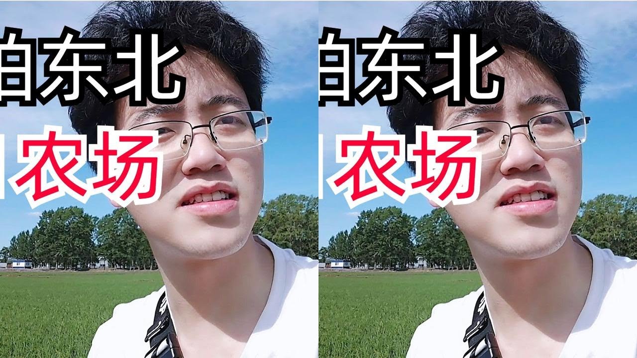 东北北大荒农场到底长啥样，风子带你逛逛红兴隆291农场，震惊风子一整年