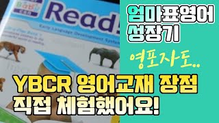 엄마표영어 Ybcr 소리 문자 그림 한번에 인지? 영어책 효과, 영유아 영어에 도움 될까?