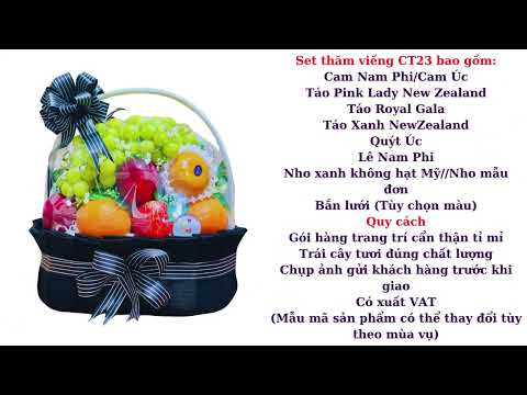 Giỏ Trái Cây Thăm Viếng CT23