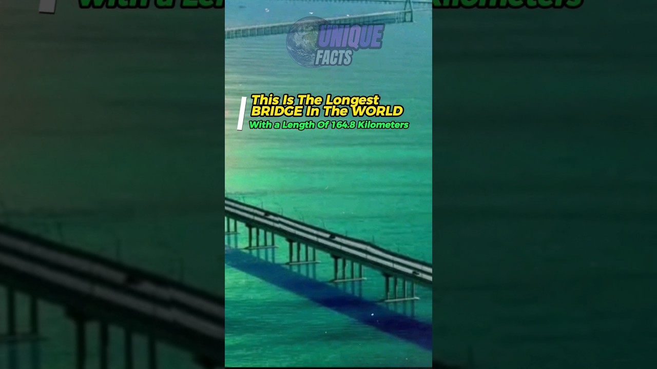 World Unique Facts || This Fact Makes You Smart 