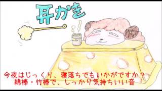 【ASMR】【耳かき】しっかり、じっくり寝落ちでもいかがですか？