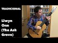 Llwyn onn the ash grove  tradicional arr jeffrey mcfadden  jos manuel velasco martn guitarra