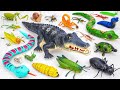 🦎toy asmr🦎 2 Hours ZURU Robo Alive Insect Compilation | Robo Giant Crocodile & RC Snake & Spider