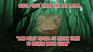 CERITA MISTIS : Tokek jadi jadian yang melenyapkan satu keluarga