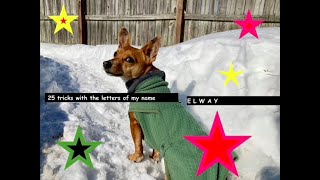 Elway's 'That's My Name!' Trick Title by SUPERNOVA DOGS 42 views 2 years ago 5 minutes, 5 seconds