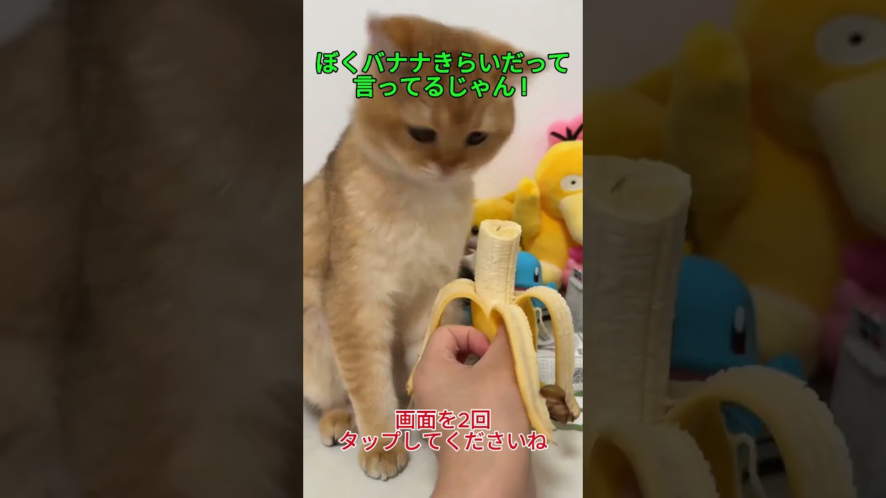 ぼくバナナきらいだって言ってるじゃん!
