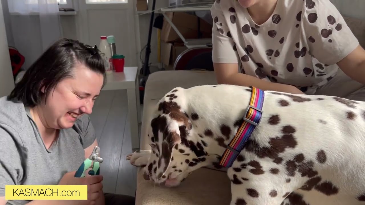 Ками и когти. Эффективное приучение