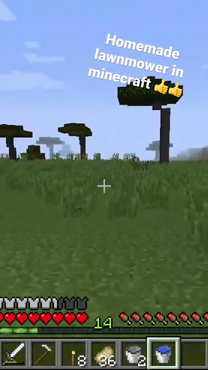 I bet none of y'all knew this #minecraft #letsplay #shorts