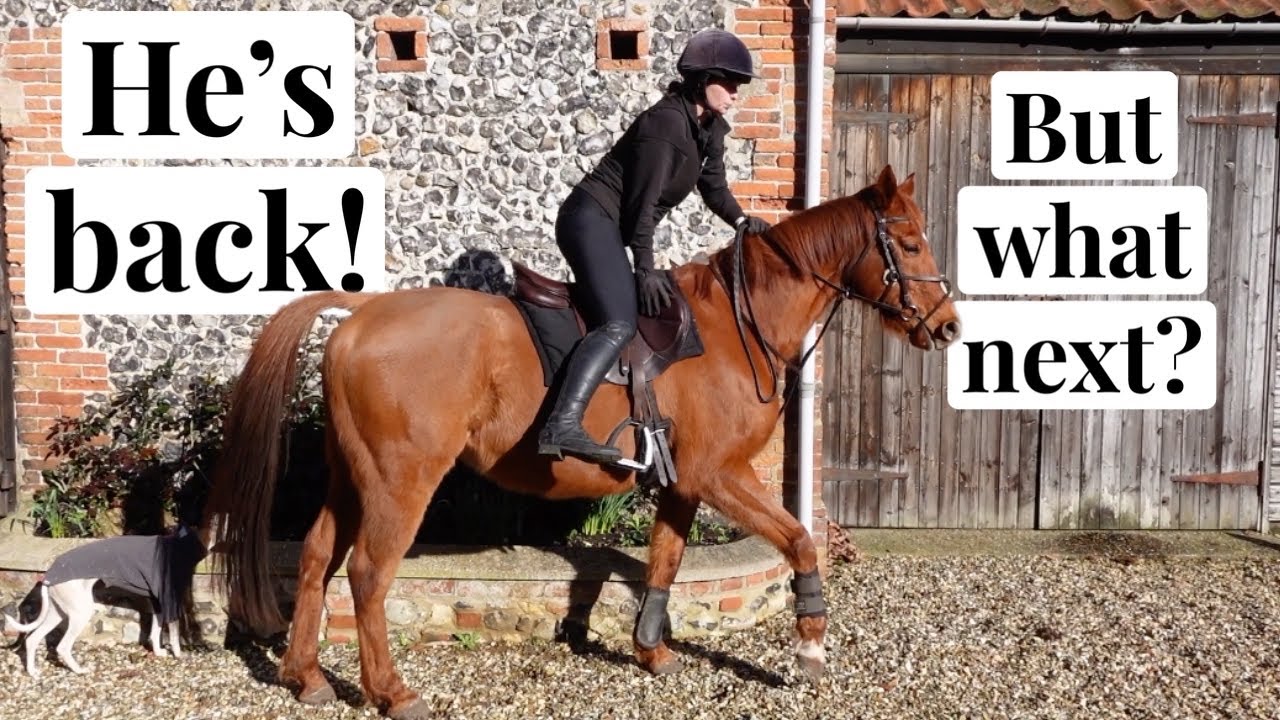 Riding Ember After 7 Months Off ~ Is He For Sale? 💔