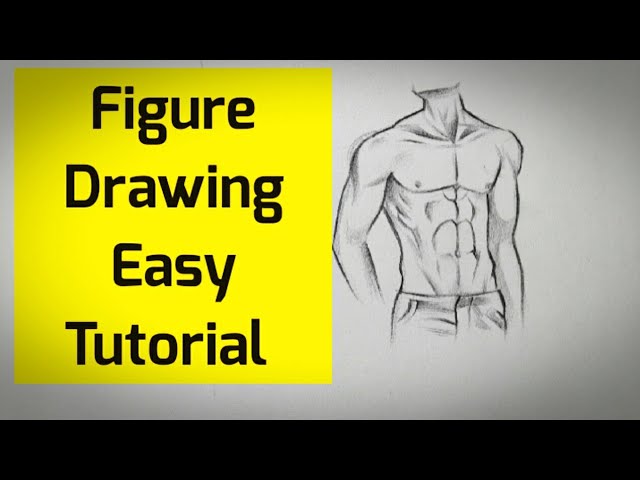 male figure | Male figure drawing, Figure drawing reference, Figure drawing