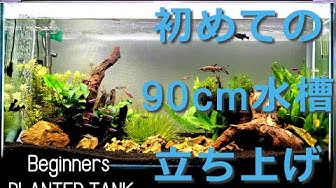 90cm水槽 Youtube