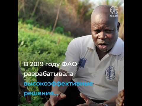 New Ресурсы и партнерства ФАО для глобального воздействия в 2020 году