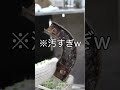 古民家の換気扇が汚すぎたw #diy