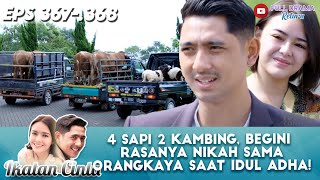 4 SAPI 2 KAMBING, BEGINI RASANYA NIKAH SAMA ORANGKAYA SAAT IDUL ADHA! - IKATAN CINTA